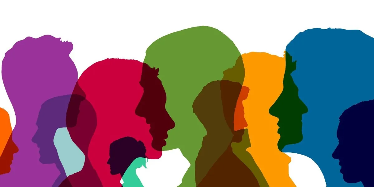 What is an Audience Profile?